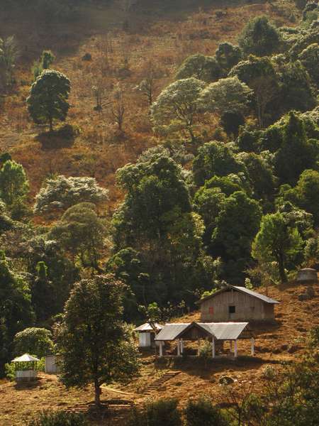 River plain landscape, representative of Orang
