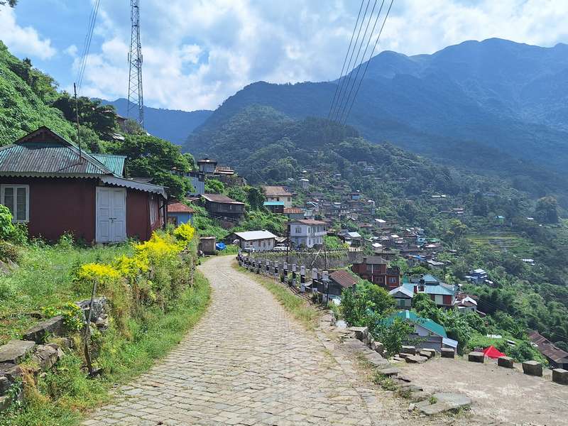Green river valley landscape, representative of Northeast India