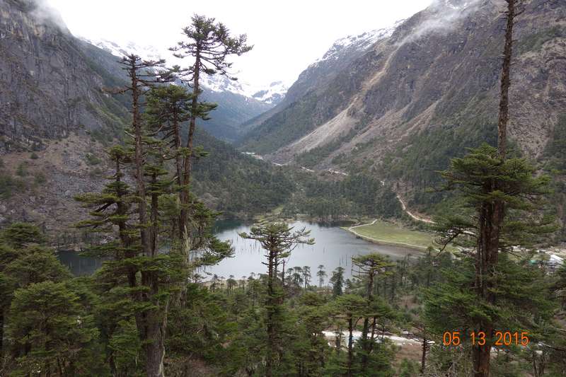 Flower valley landscape, representative of Yumthang